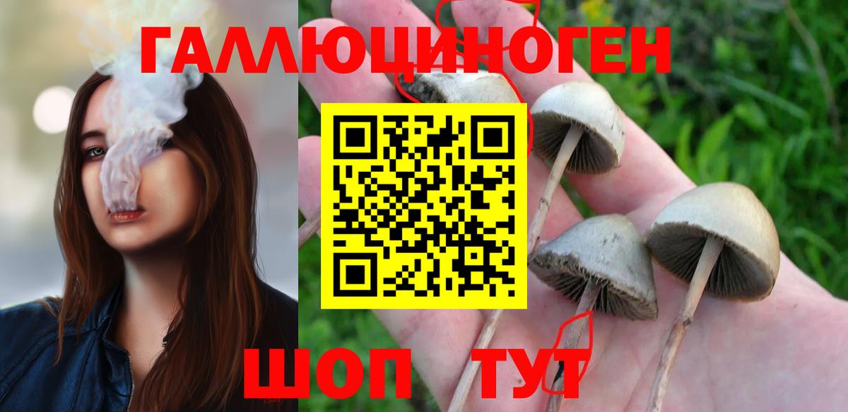 Ржев  Псилоцибиновые грибы ЛСД  где можно купить   Вход с VPN 